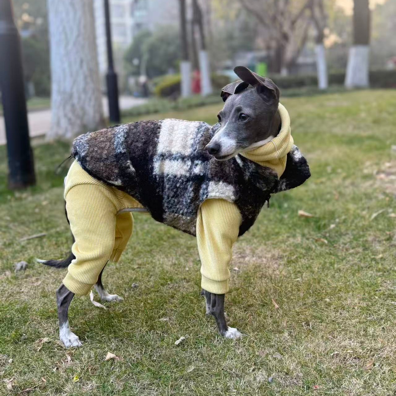 Yellow Winter Clothing - Winter Fleece Sweatshirt Vest Suit for