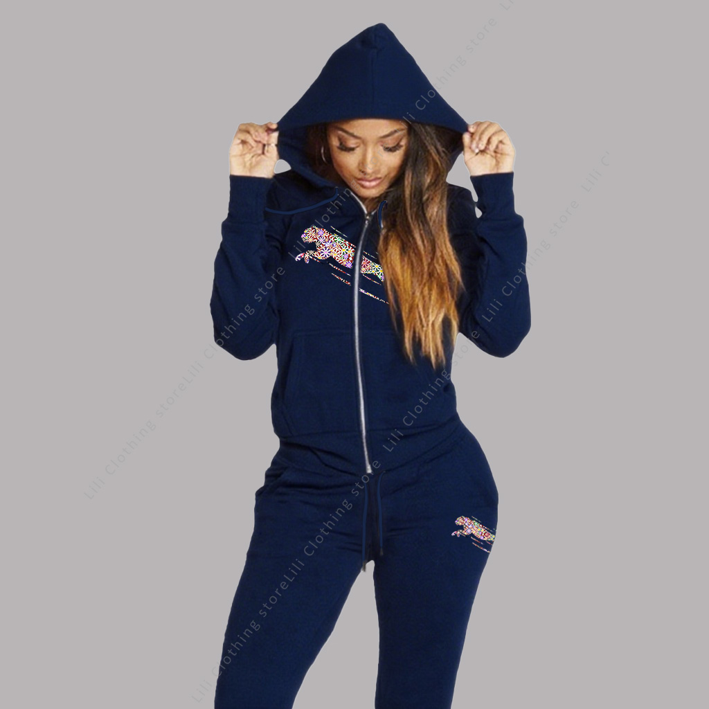Winter Clothing Hoodie - Women's Track Suit Aesthetic Hoodies Sweatshirts