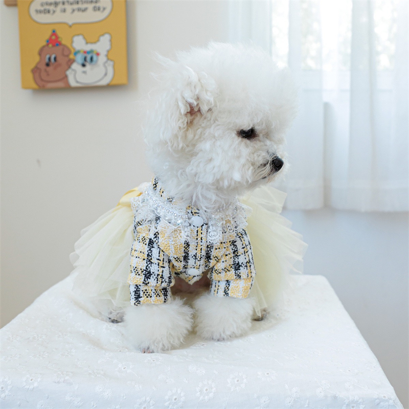 Yellow Ribbon Dresses for Dogs - مراجعة Yellow Winter Clothing وسعره
