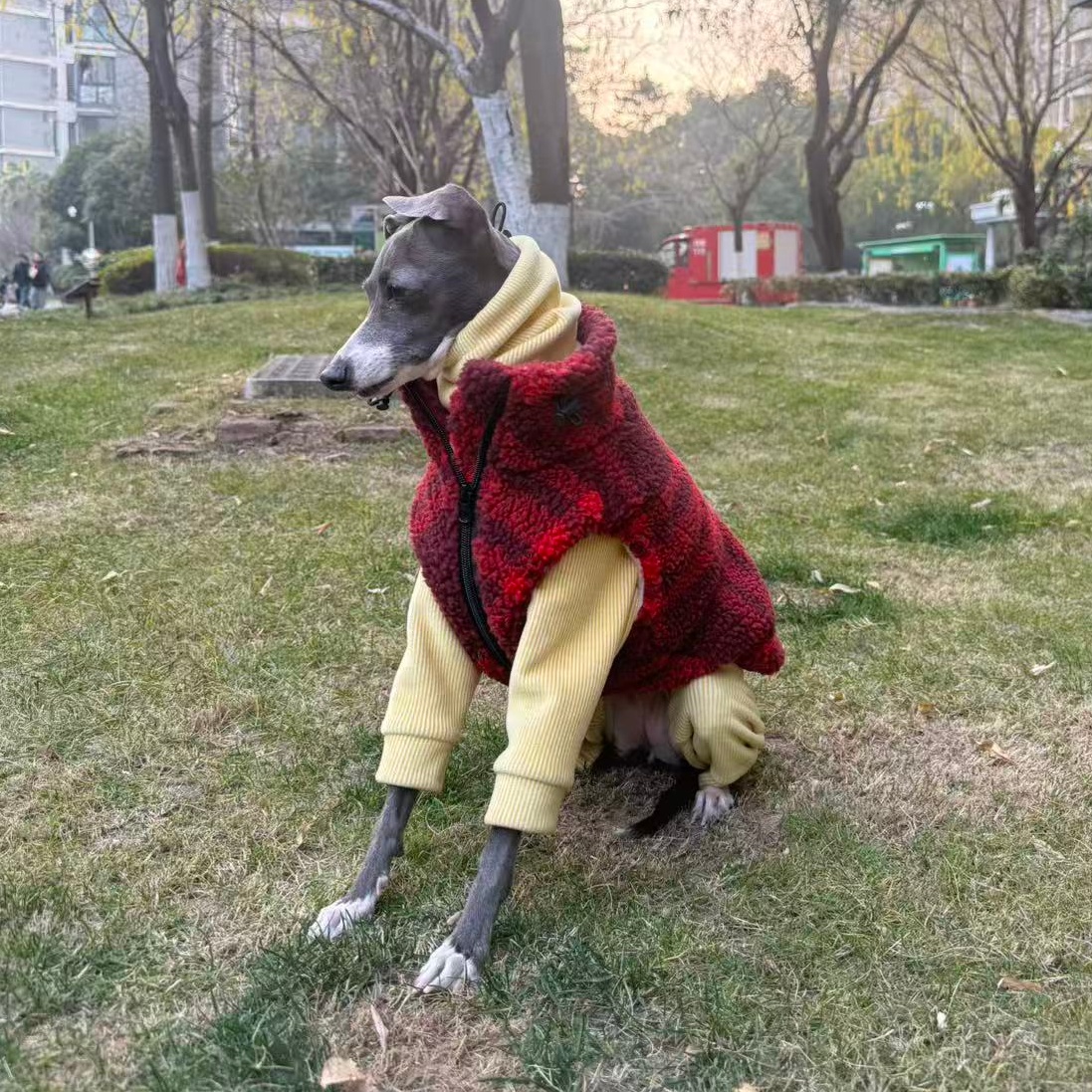 Winter Fleece Sweatshirt Vest  - مراجعة Yellow Winter Clothing وسعره