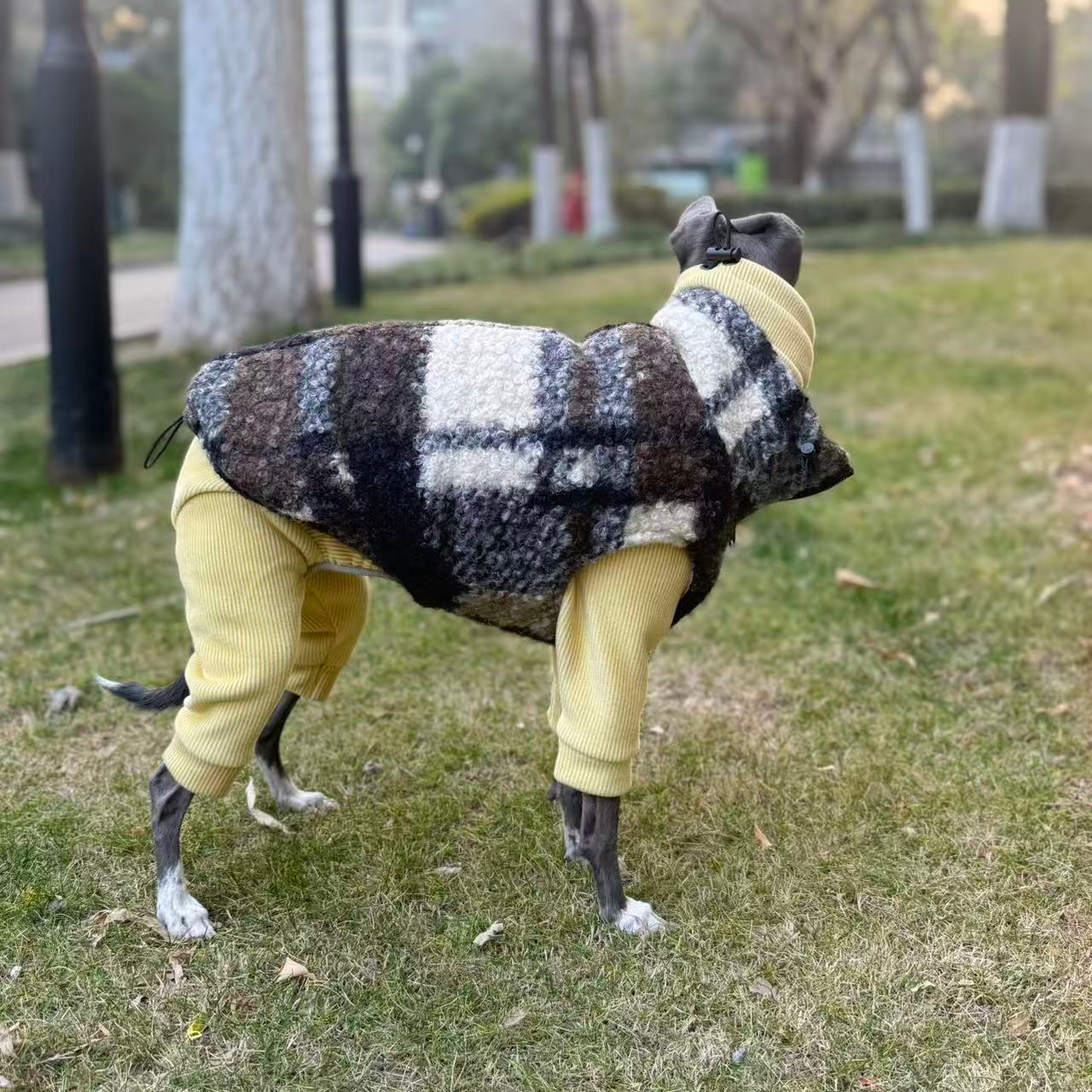 Winter Fleece Sweatshirt Vest  - مراجعة Yellow Winter Clothing وسعره