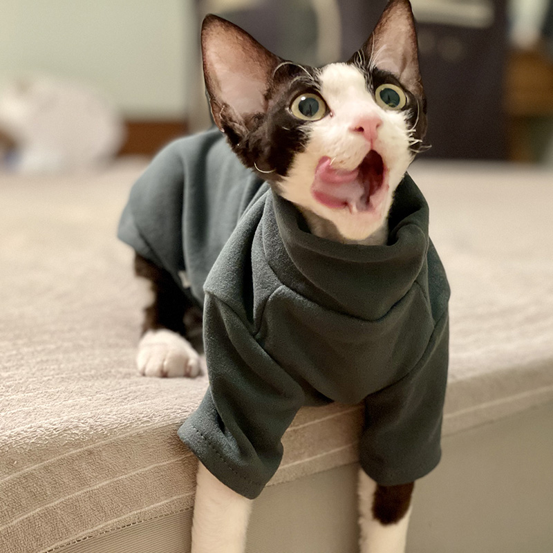 Sphynx Cat Clothes Baby Soft C - مراجعة Winter Clothing For Toddlers وسعره